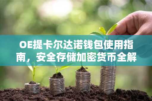 OE提卡尔达诺钱包使用指南,安全存储加密货币全解析