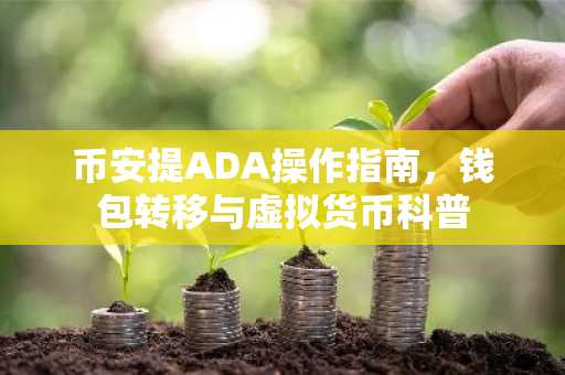 币安提ADA操作指南，钱包转移与虚拟货币科普