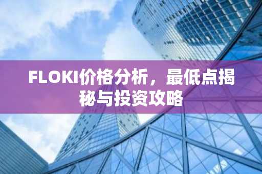 FLOKI价格分析，最低点揭秘与投资攻略