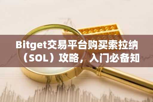 Bitget交易平台购买索拉纳（SOL）攻略，入门必备知识
