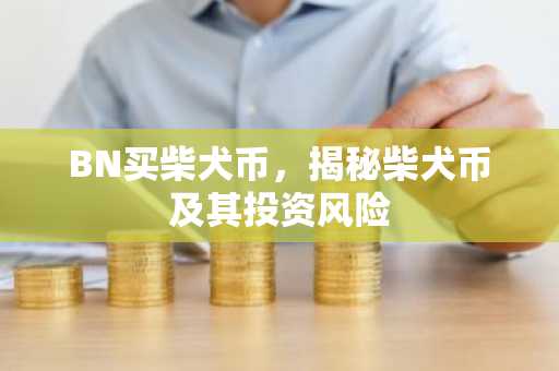 BN买柴犬币，揭秘柴犬币及其投资风险