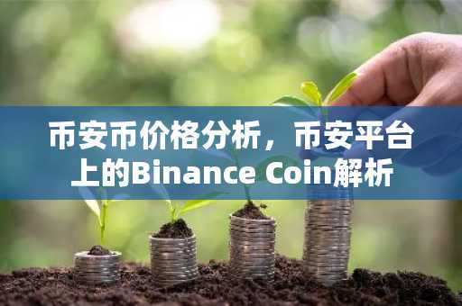 币安币价格分析,币安平台上的Binance Coin解析