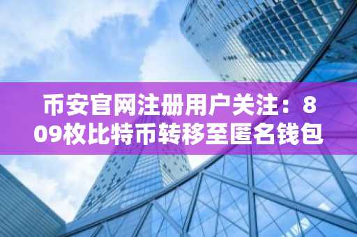 币安官网注册用户关注：809枚比特币转移至匿名钱包