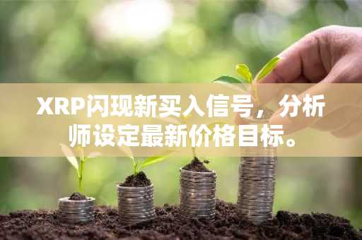 XRP闪现新买入信号，分析师设定最新价格目标。