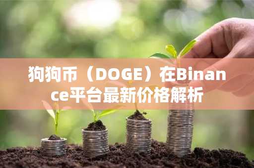 狗狗币(DOGE)在Binance平台最新价格解析