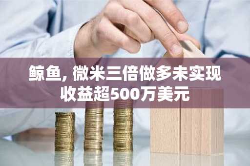 鲸鱼, 微米三倍做多未实现收益超500万美元