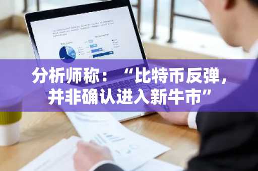 分析师称：“比特币反弹，并非确认进入新牛市”