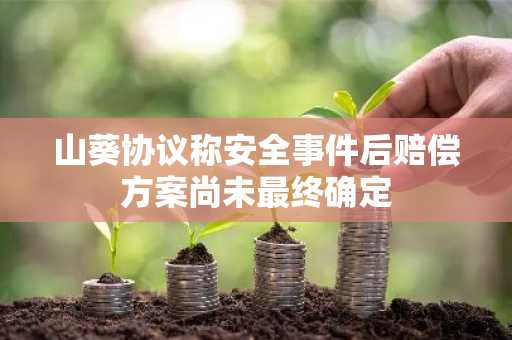 山葵协议称安全事件后赔偿方案尚未最终确定