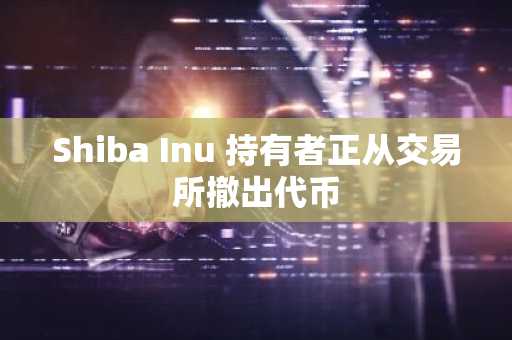 Shiba Inu 持有者正从交易所撤出代币