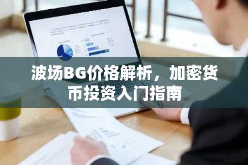 波场BG价格解析,加密货币投资入门指南