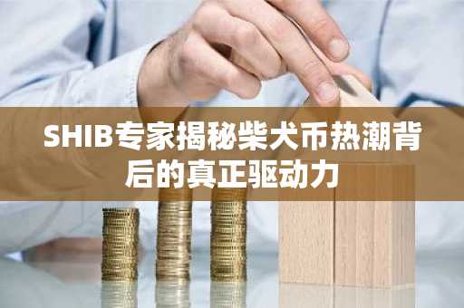 SHIB专家揭秘柴犬币热潮背后的真正驱动力