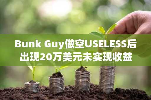 Bunk Guy做空USELESS后出现20万美元未实现收益