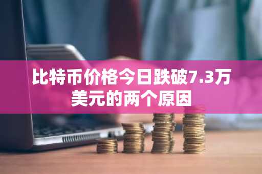 比特币价格今日跌破7.3万美元的两个原因