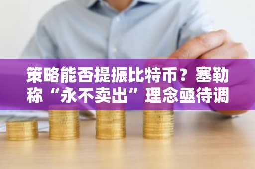 策略能否提振比特币？塞勒称“永不卖出”理念亟待调整