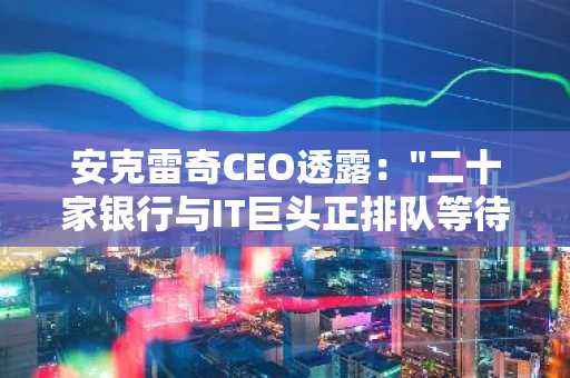 安克雷奇CEO透露："二十家银行与IT巨头正排队等待通过我们发行稳定币"