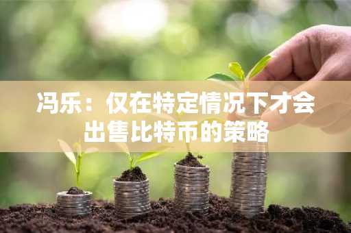 冯乐：仅在特定情况下才会出售比特币的策略