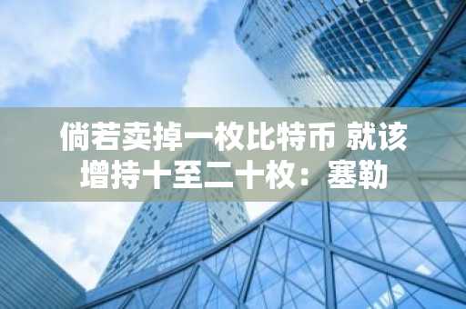 倘若卖掉一枚比特币 就该增持十至二十枚：塞勒