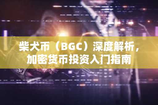 柴犬币（BGC）深度解析，加密货币投资入门指南