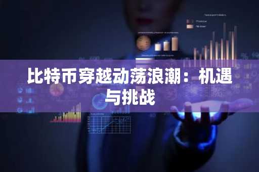 比特币穿越动荡浪潮：机遇与挑战