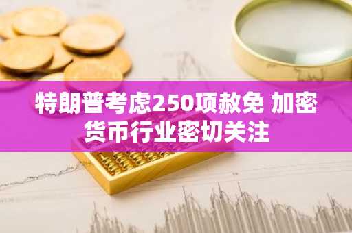 特朗普考虑250项赦免 加密货币行业密切关注