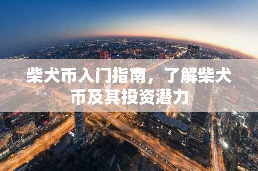 柴犬币入门指南，了解柴犬币及其投资潜力