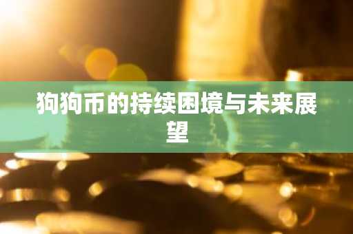 狗狗币的持续困境与未来展望