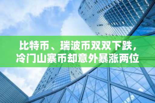 比特币、瑞波币双双下跌，冷门山寨币却意外暴涨两位数