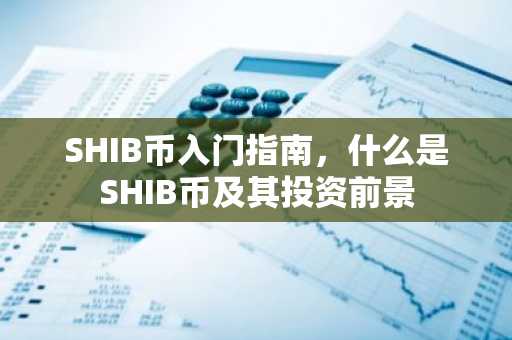 SHIB币入门指南，什么是SHIB币及其投资前景