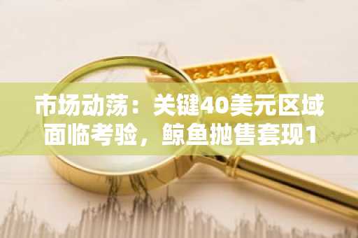 市场动荡：关键40美元区域面临考验，鲸鱼抛售套现180万美元