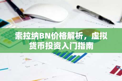 索拉纳BN价格解析,虚拟货币投资入门指南
