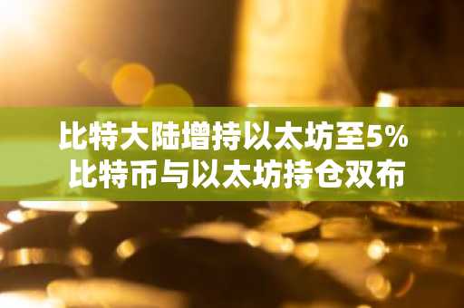 比特大陆增持以太坊至5% 比特币与以太坊持仓双布局