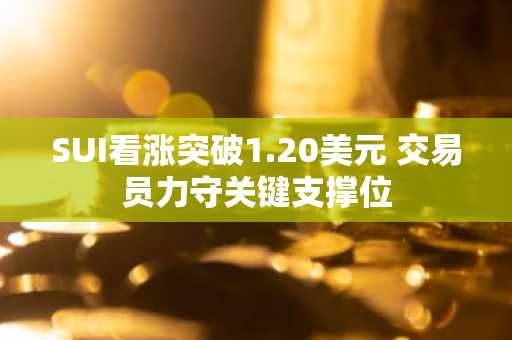 SUI看涨突破1.20美元 交易员力守关键支撑位