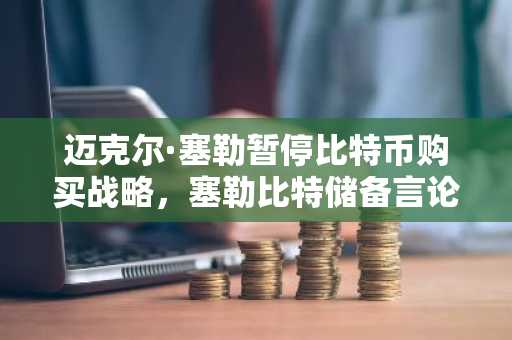 迈克尔·塞勒暂停比特币购买战略，塞勒比特储备言论引关注