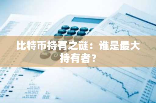 比特币持有之谜：谁是最大持有者？