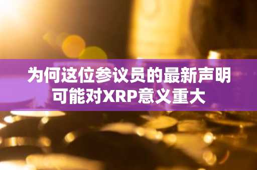 为何这位参议员的最新声明可能对XRP意义重大
