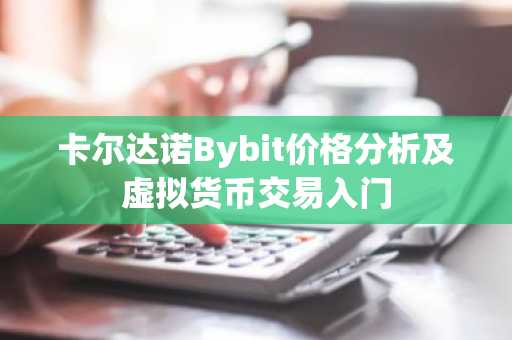 卡尔达诺Bybit价格分析及虚拟货币交易入门