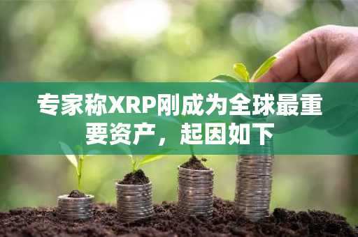专家称XRP刚成为全球最重要资产，起因如下