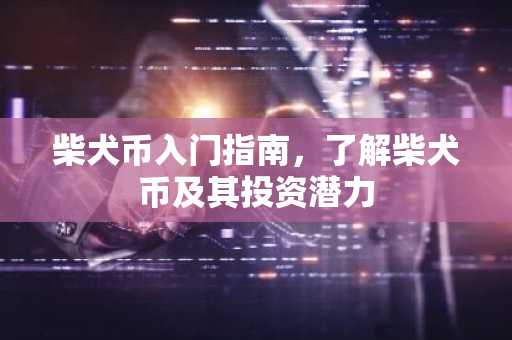 柴犬币入门指南,了解柴犬币及其投资潜力